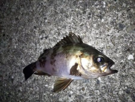 初夏なのに寒い・・・